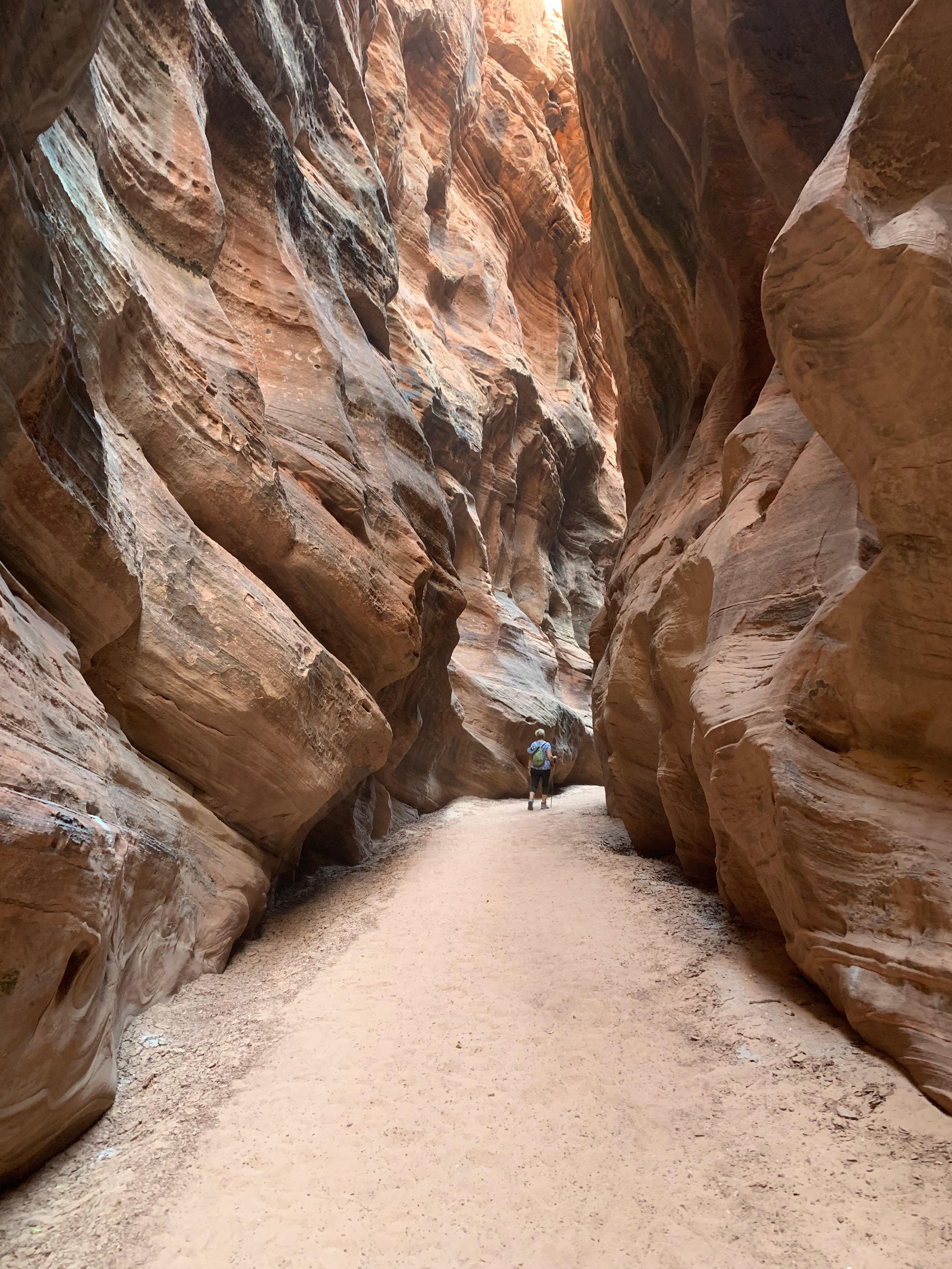 Vermillion Cliffs NM